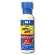 6046_Image Liq Fungus cure.jpg